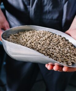 Green Coffee Beans